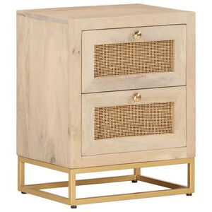 vidaXL Nachtkastje 40x30x50 cm massief mangohout en ijzer
