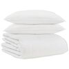 vidaXL Winter Dekbed met kussen 3 pcs Wit Donsveertjes