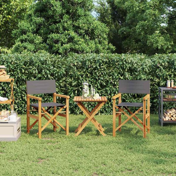 vidaXL Regisseursstoelen inklapbaar 2 st massief teakhout grijs