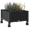 Miniatuurafbeelding van het product 3 van 8