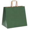vidaXL Papieren zakken 50 st met hengsels 32x22x28 cm groen