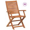 vidaXL Tuinstoelen inklapbaar 2 st met armleuning massief acaciahout