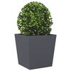 Miniatuurafbeelding van het product 8 van 10