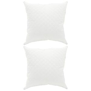 vidaXL Hoofdkussen FULDA 2 st 65 x 65 cm 100% Ganzendons en Veer Wit