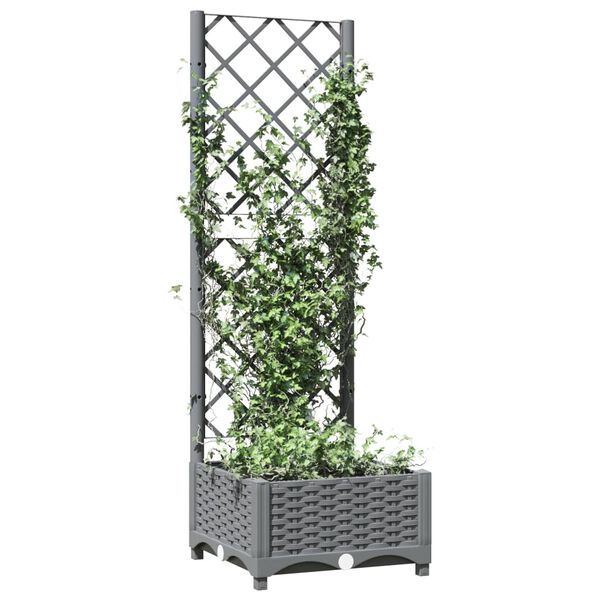 Productafbeelding 3 van 8