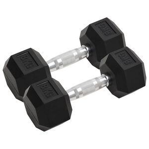 vidaXL Halters 2 st 8 kg totaal gietijzer