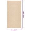 vidaXL Vloerkleed ZIZUR beige binnen en buiten 60x110 cm jute look