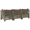 vidaXL Tuinbank 3-zits met kussens poly rattan grijs