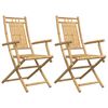 vidaXL Opklapbare stoelen, 2 stuks, 53x66x99 cm, bamboe