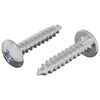 vidaXL Zelftappende Nagel 2 st Verzinkt 4 x 20 mm Staal
