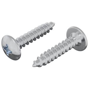 vidaXL Zelftappende Nagel 2 st Verzinkt 4 x 20 mm Staal