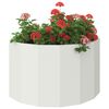 Miniatuurafbeelding van het product 3 van 12