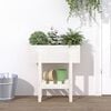 Miniatuurafbeelding van het product 2 van 9