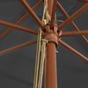 vidaXL Parasol met houten paal 400x273 cm antracietkleurig