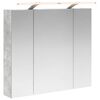 vidaXL Badkamer spiegelkast Beton Grijs 80 x 14.5 x 70 cm Bewerkt hout