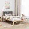 vidaXL Bedframe Donkergrijs 100 x 200 cm Massief grenenhout