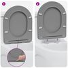 vidaXL Toiletzitting Grijs 44 x 36,4 x 3,4 cm Duroplast