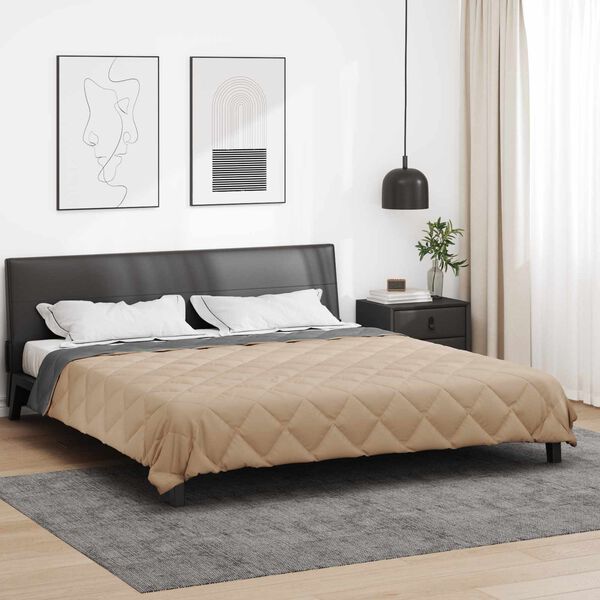 vidaXL Zomer Dekbed Antraciet en Taupe 220 x 200 cm Microfiber