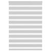 vidaXL Zebra rolgordijn 100x150 cm stofbreedte 95,9 cm lichtgrijs