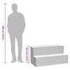 vidaXL Hottub-opstap 100x50x50,5 cm poly rattan&massief acaciahout