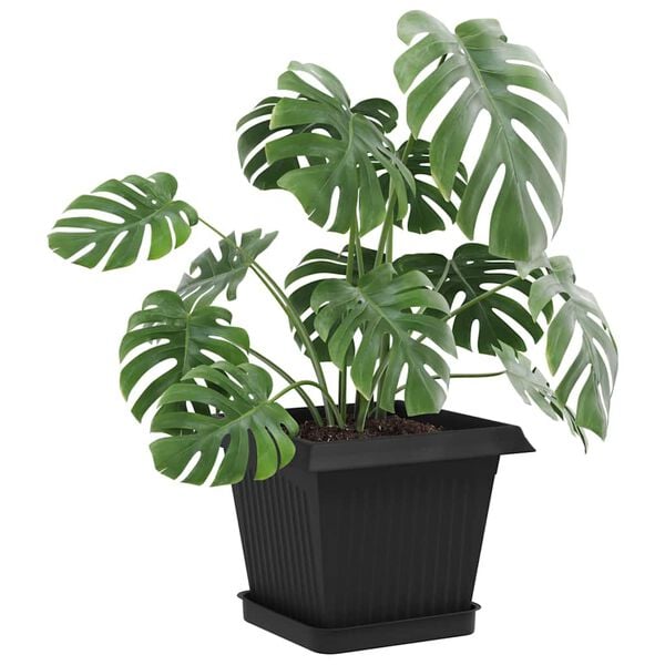 Productafbeelding 3 van 10