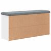 vidaXL Schoenenbank Wit 102x32x50 cm Bewerkt Hout
