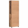 vidaXL Hoge kast FLORIN Oudhout 60 x 35 x 182 cm Bewerkt hout