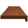 vidaXL Raamsokkel Bruin Hout 160 x 25 x 4,5 cm PVC