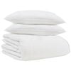 vidaXL Winter Dekbed met kussen 3 pcs Wit Donsveertjes