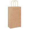 vidaXL Papieren zakken 250 st met hengsels 21x11x36 cm bruin