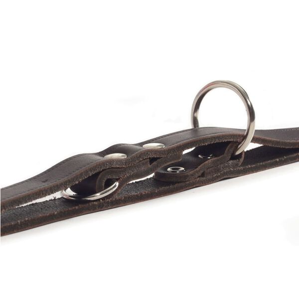Beeztees Trainingsriem bruin 200x1,2 cm leer 736401
