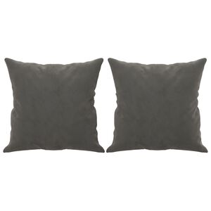 vidaXL Sierkussens 2 st 40x40 cm fluweel donkergrijs