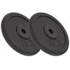 vidaXL Halterschijven 2 st 2x10 kg gietijzer