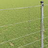 Miniatuurafbeelding van het product 4 van 9