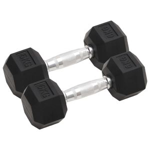 vidaXL Halters 2 st 6 kg totaal gietijzer