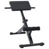 vidaXL Hyperextension Bank Zwart 100,5 x 70 x 78 cm Gepoedercoat staal