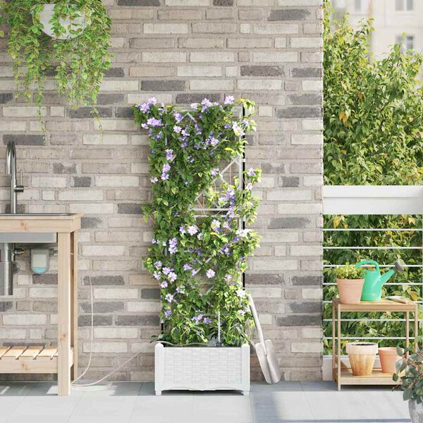 Productafbeelding 3 van 10