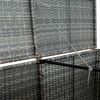 vidaXL Containerberging dubbel 148x77x111 cm poly rattan antraciet