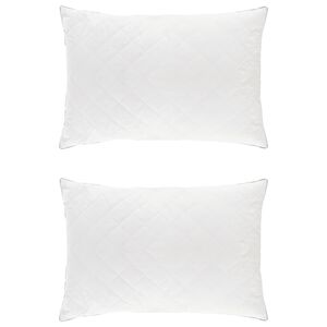 vidaXL Hoofdkussen FULDA 2 st 60 x 80 cm 100% Ganzendons en Veer Wit