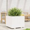 vidaXL Plantenbak 60x60x49,5 cm massief grenenhout wit