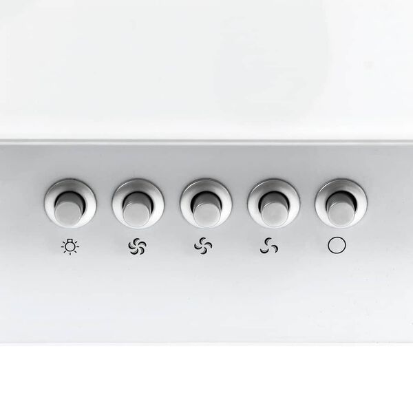 vidaXL Wandafzuigkap 60 cm roestvrij staal en gehard glas wit