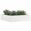 Miniatuurafbeelding van het product 2 van 9