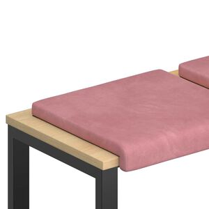 vidaXL Bankkussen 2 st fluweel Roze Diepte 35 cm