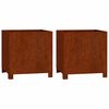 vidaXL Plantenbakken met poten 2 st roestig 40x40x40 cm cortenstaal