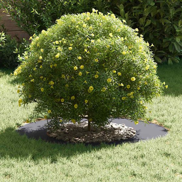 vidaXL geschikt voor platte boomring Antraciet &Oslash;40 / 70 cm Staal