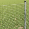 Miniatuurafbeelding van het product 4 van 9