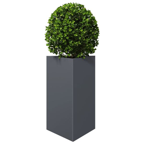 Productafbeelding 4 van 12