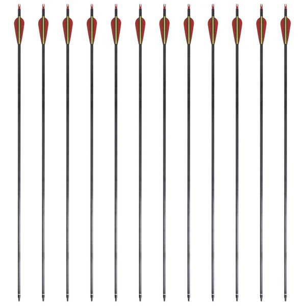 Pijlen voor recurveboog standaard 30" 0,76 cm koolstof 12 stuks
