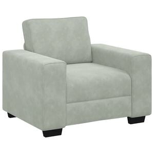 vidaXL Fauteuil 100x77x82 cm fluweel lichtgrijs