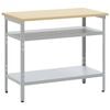 vidaXL Werktafel met plank Grijs 100 x 55 x 85 cm Gepoedercoat staal